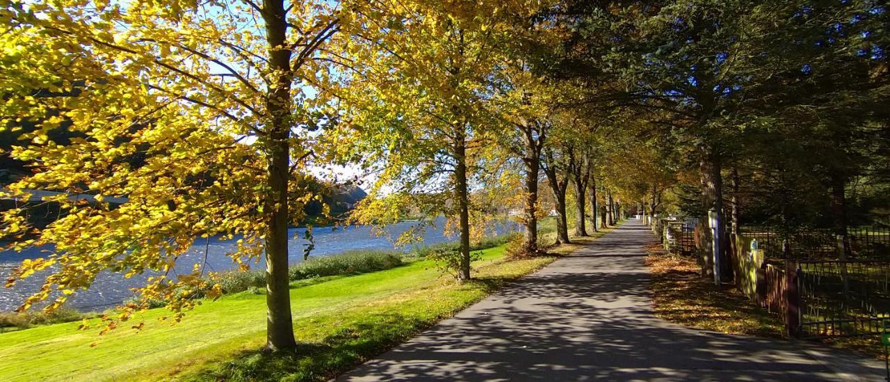 Ferienwohnung An Der Elbe Stadt Wehlen Kültér fotó